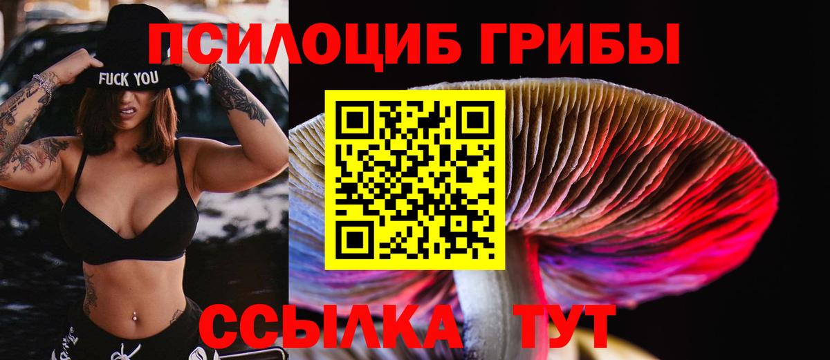 Приморско-Ахтарск  Галлюциногенные грибы мицелий  Вход с VPN 